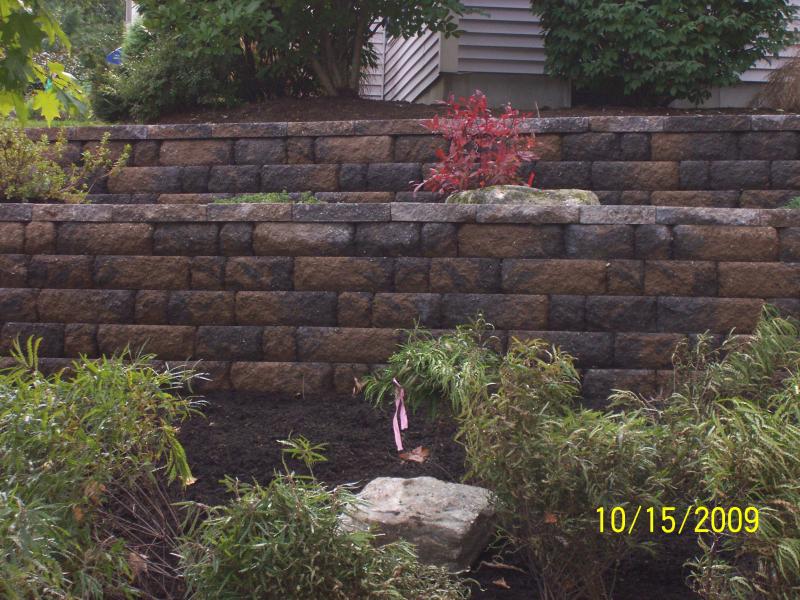 Adding plants and large dectotive rocks create an stunning visual feature.