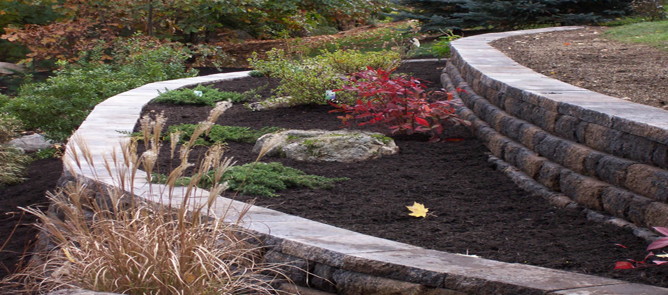 Lanscaping Design Services